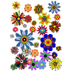 Flower Power Flowers