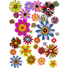 Flower Power Flowers