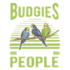 Budgerigar Gift Welli Parakeet