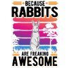 Rabbit Gift Rabbit Rabbit