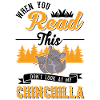 Chinchilla Gave Uld mus Korthalet Chinchilla