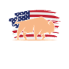 American Bison Buffalo