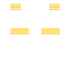 American Bison Buffalo