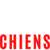 J'aime les chiens