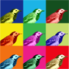 Bachstelze Profil Popart Kunst