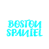 Boston Spaniel