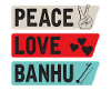 Peace Love Banhu Stringed Instrument