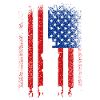 États-Unis drapeau américain Échecs