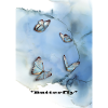Butterfly/ Schmetterling