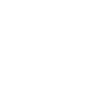 1981 Année de naissance