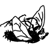 Funny Dead Fly Cartoon