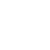 Logo GS driver nr. 5 | Wit