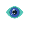 Ophthalmologist Optometrist Optometry And Optician