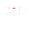 Badminton, Badminton players