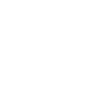 Anstalts Leitung