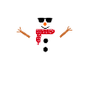 coolest winter ever snowman
