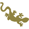 Gecko
