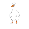 What the Duck