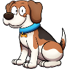 Beagle Dog