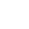 Snowmobile driver Snowmobile Evolution