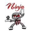 Échiquier Échecs Ninja Fighter Échecs