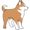 Mignon malamute