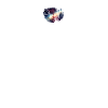 Astronaut Turtle Skeleton, Surreal Design
