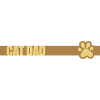 Bar Design Chat Papa