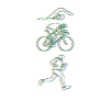Triathlon Trippy Hamsa