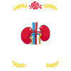 Dialyse Krankenschwester Nephrologie Dialysepflege