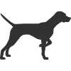 pointer dog silhouette
