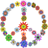 Flower Power Peace Fleurs