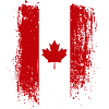 Grunge Canada Flag Maple Art