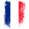 Brushstroke French Flag