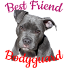 Best Friend & Bodyguard
