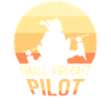 Kleinflugzeug Pilot Privatflugzeug Leichtflugzeug