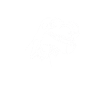 Dinosaur Dino Paleonthologist