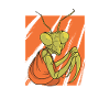Mantis