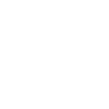 Dinosaur Dino Paleonthologist