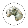 Lakeland Terrier Dog Aquarelle Illustration