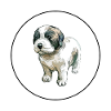 Moscow Watchdog Dog Aquarelle Illustration