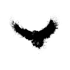 Dark Raven