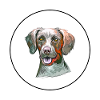 Pointer Dog Aquarelle Sketch Illustration