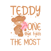 Teddy Cuddly Legetøj Familie