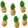 Pineapple