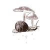 Mushrooms Vineyard Snail Crystals