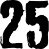 25 number jersey