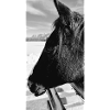 Black Jack