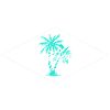 Mallorca Palm Tree Magic