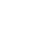 Cockatoo Portrait Bird Drawing